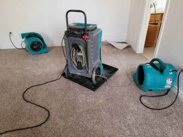 Best Water damage contractors near me  in Spring Valley, NY