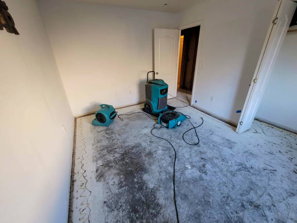 Best 24-hour water damage restoration  in Spring Valley, NY