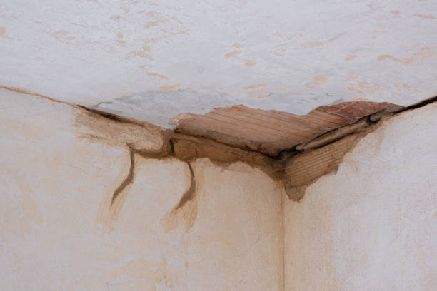 Best Water damage cleanup near me  in Spring Valley, NY