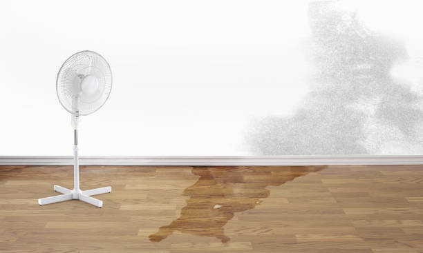 Best 24/7 water damage repair  in Spring Valley, NY