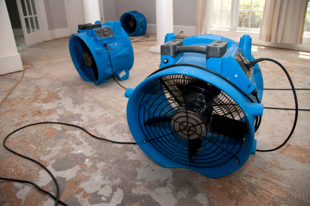 Best Mold removal after water damage  in Spring Valley, NY