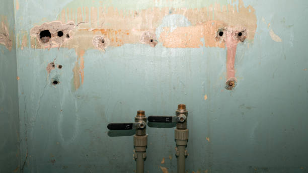 Best Flood damage cleanup  in Spring Valley, NY