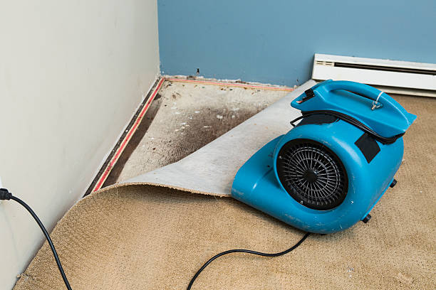 Best Commercial water damage restoration  in Spring Valley, NY